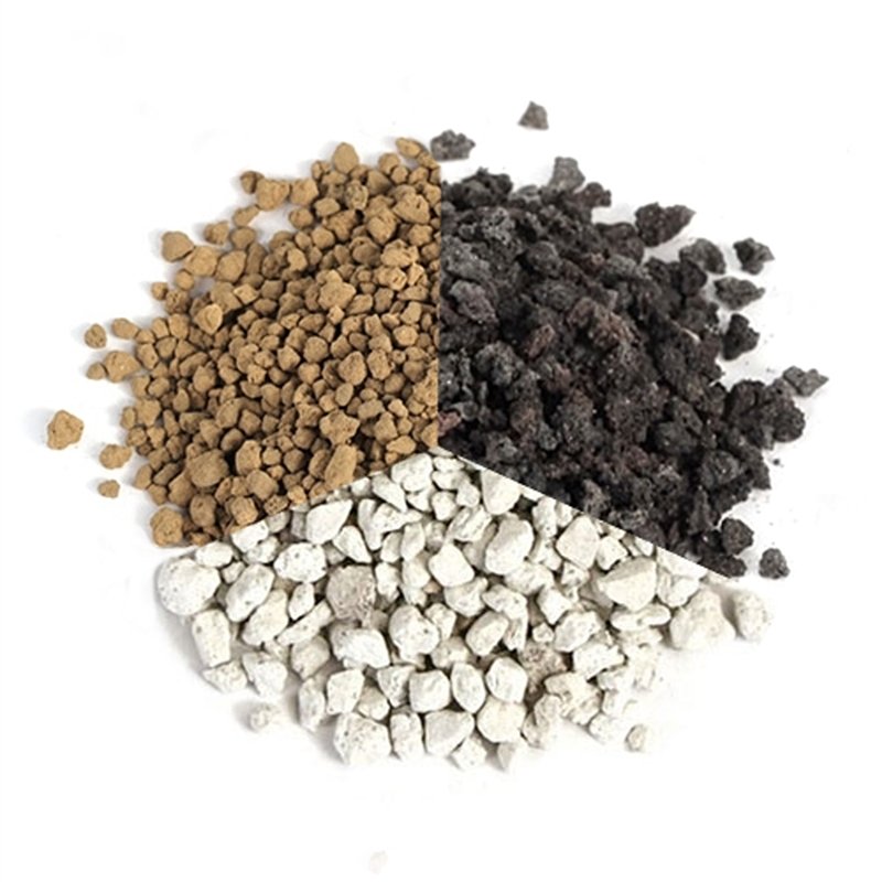 Quel est le meilleur substrat pour les Aeoniums ? Le guide complet pour choisir le mélange idéal